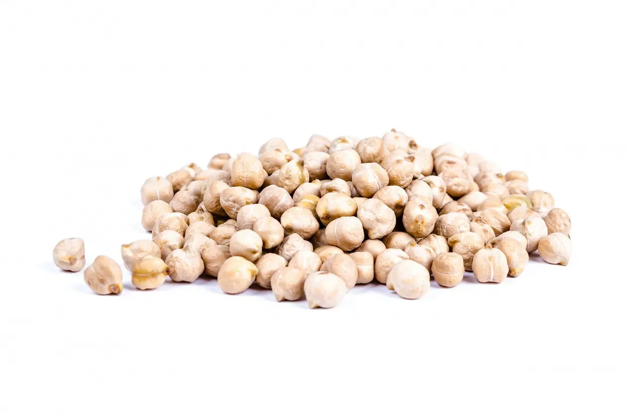 Alimentos con proteínas vegetales