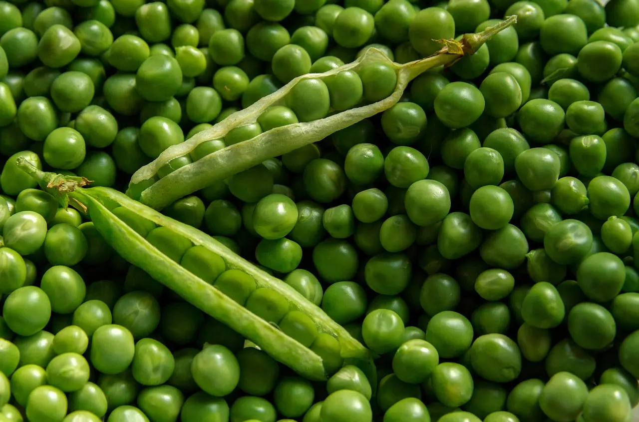 Alimentos con proteínas vegetales