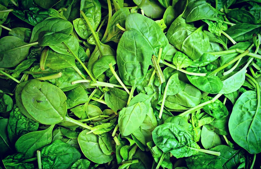ESPINACAS