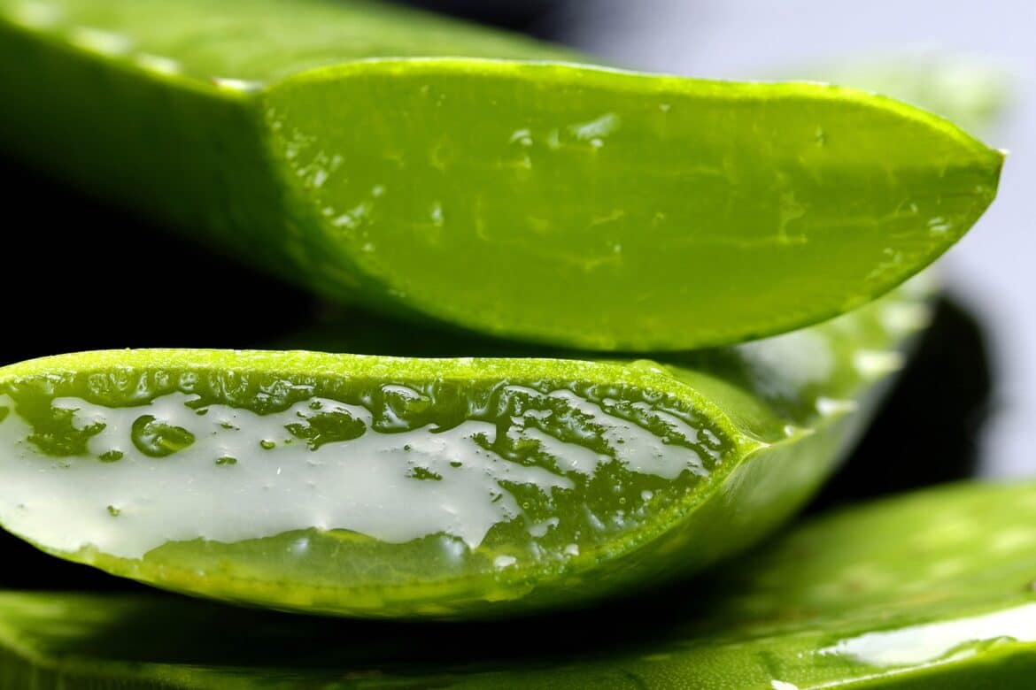 Propiedades del aloe vera: componentes y beneficios