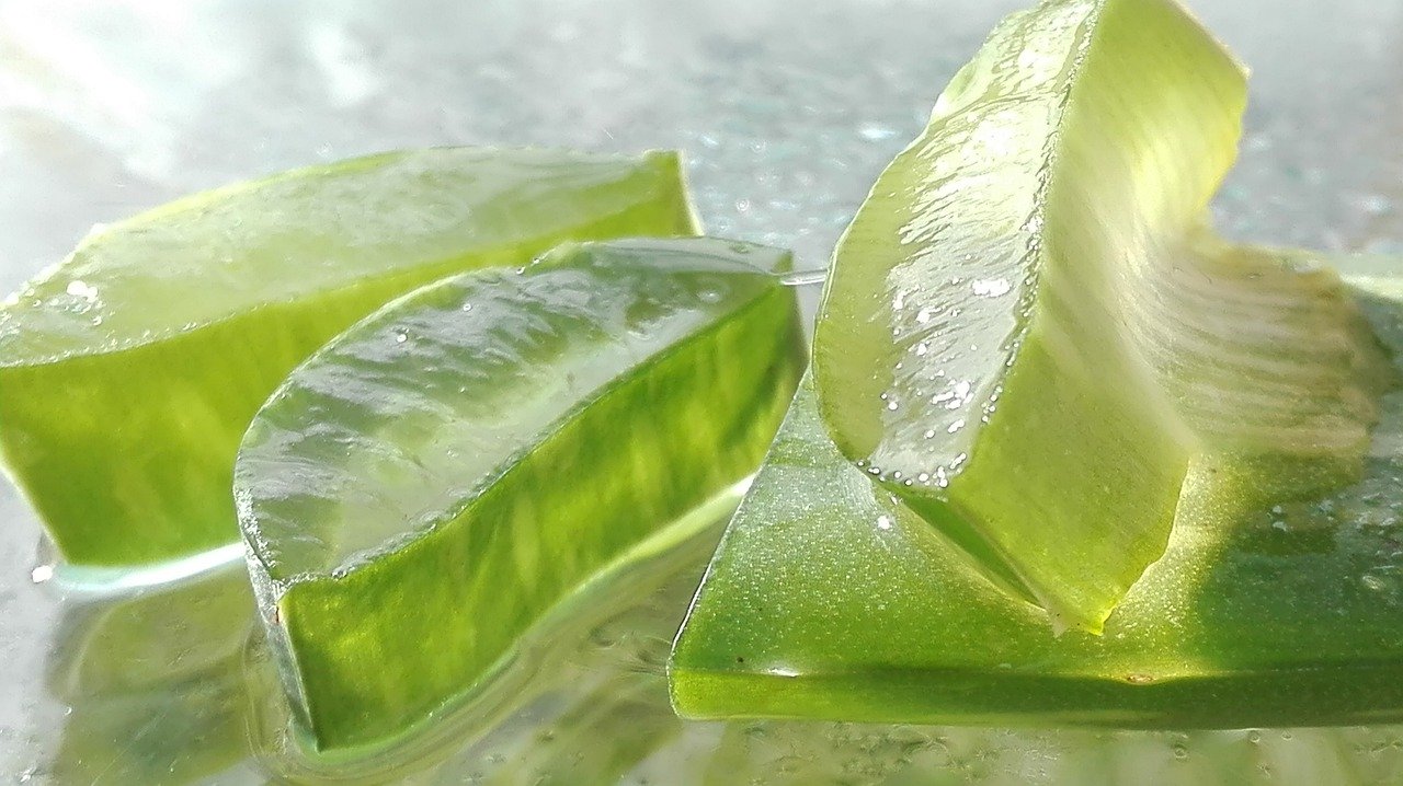 parte interna del aloe vera