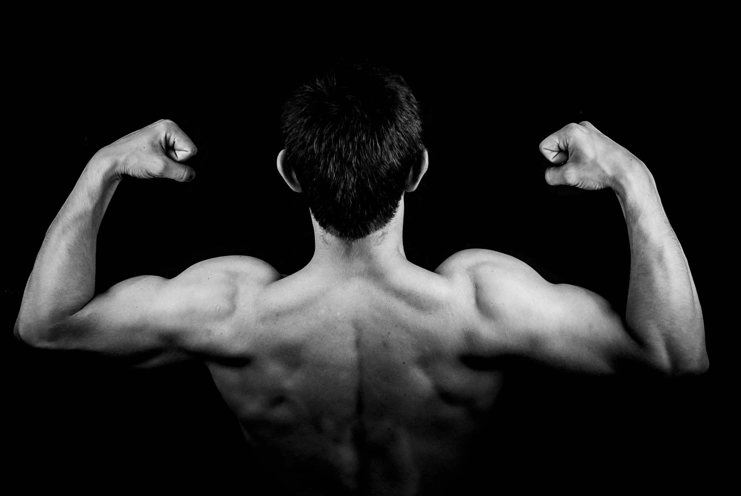 fibras musculares como factor intrínseco