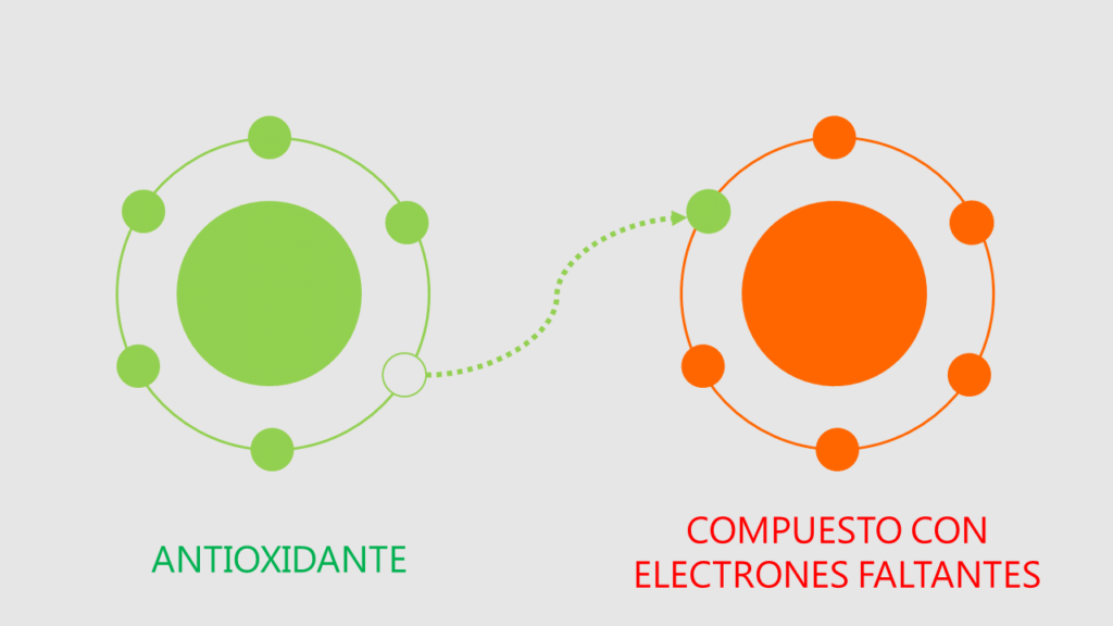 antioxidantes donacion electrones