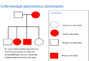 Enfermedad autosómica dominante