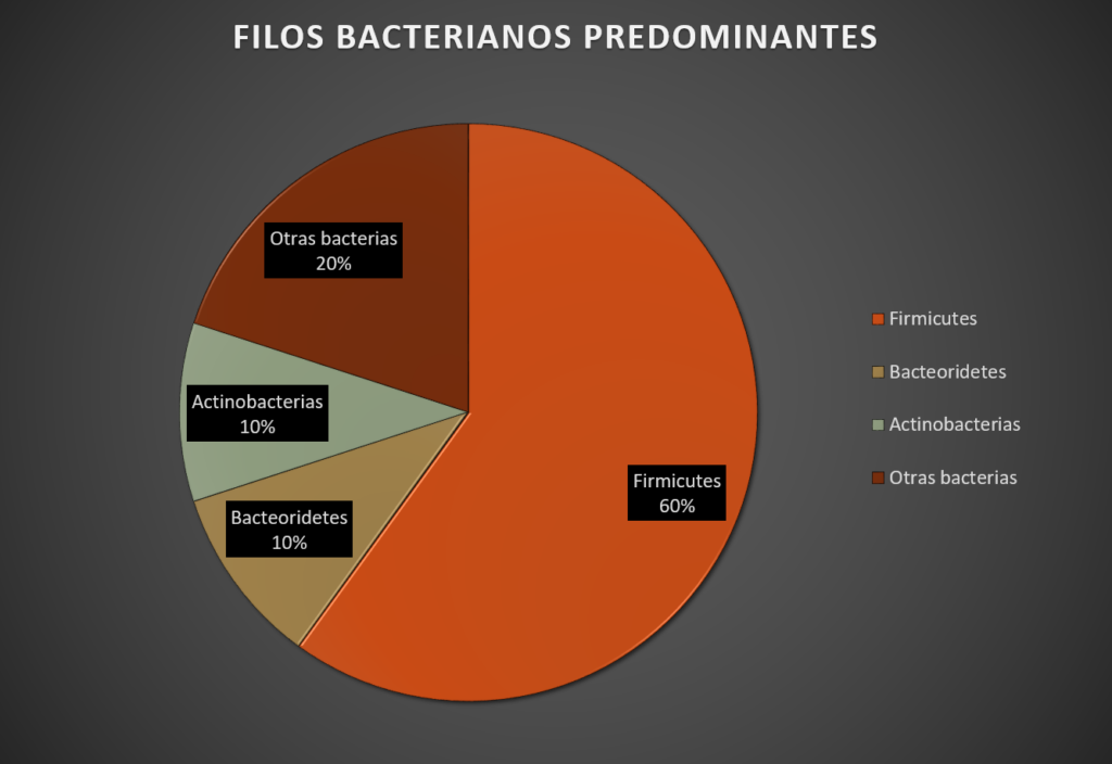 Composición de la microbiota intestinal
