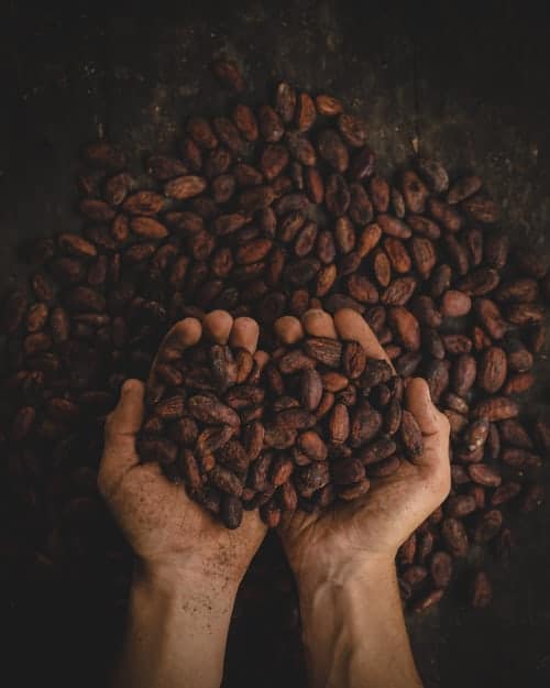 Cacao 