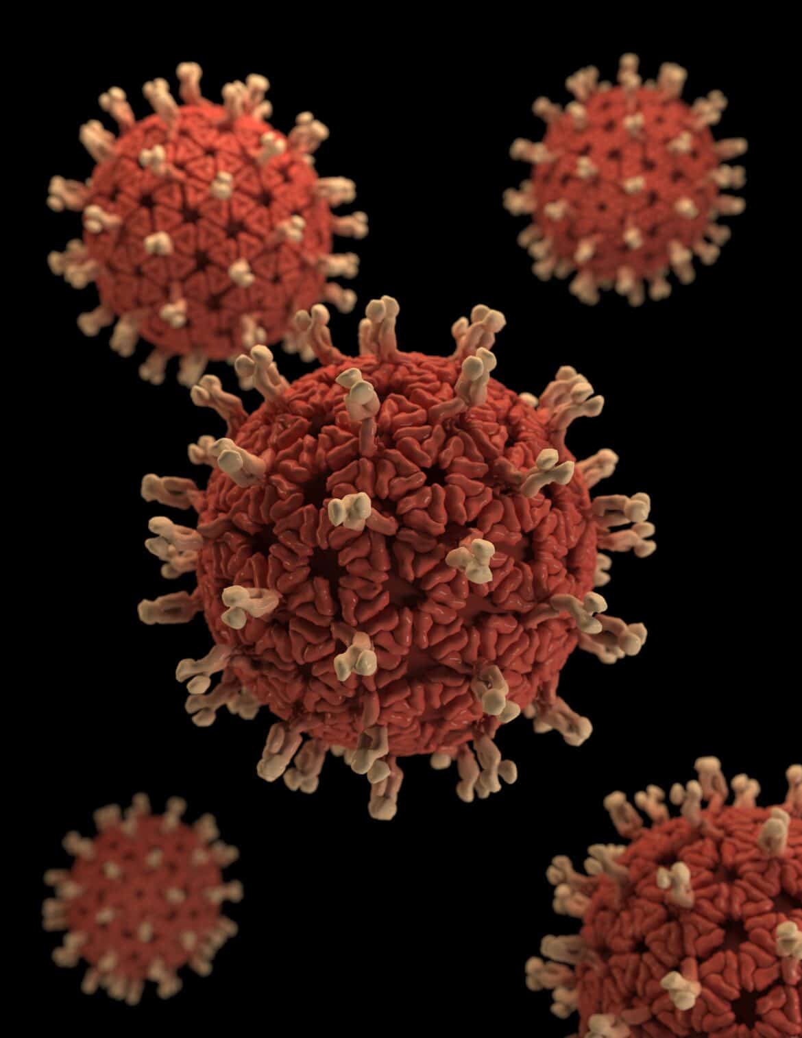 Lo que necesitas saber sobre… el coronavirus!