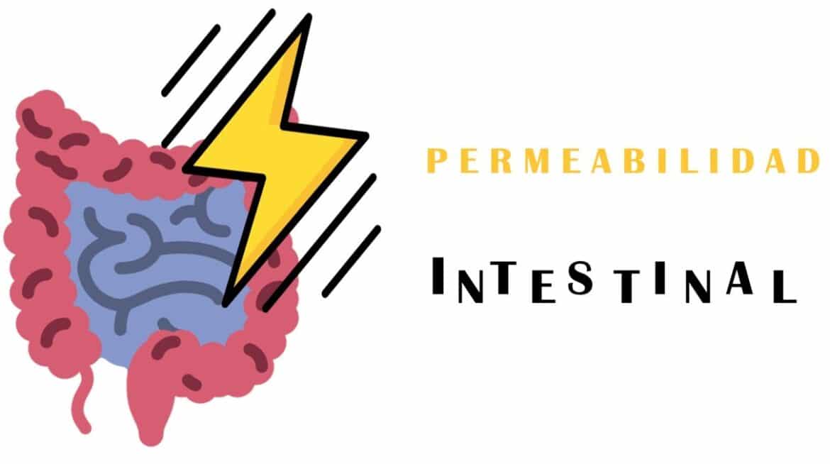 INTESTINO PERMEABLE: CAUSAS Y CONSEJOS