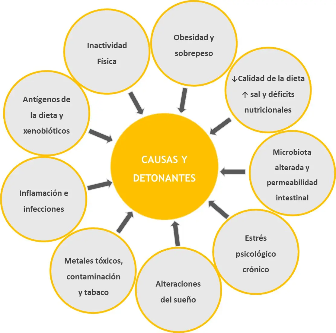 Causas y detonantes de las enfermedades relacionadas con el sistema inmune