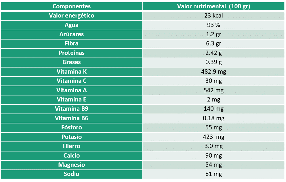 PROPIEDADES ESPINACAS 