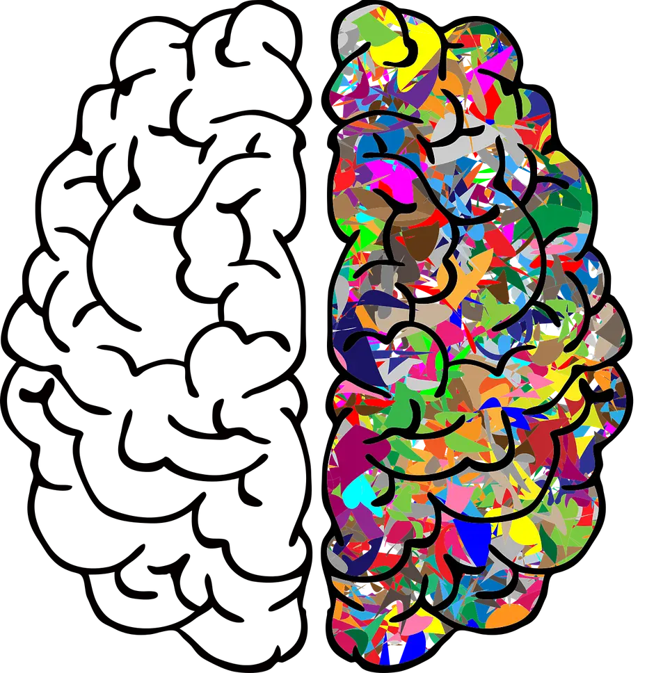 Alimentación y rendimiento cognitivo