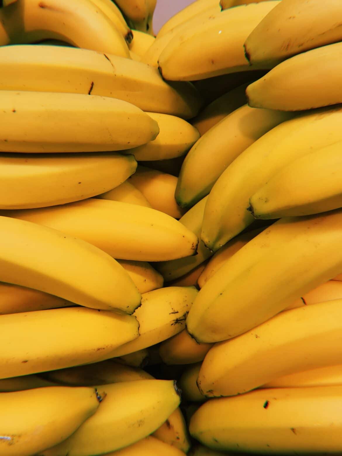 Beneficios del plátano ¡Conoce sus interesantes beneficios!
