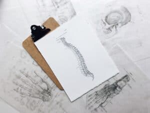 Dibujo columna vertebral