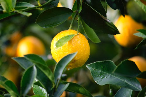 Agua con Limón