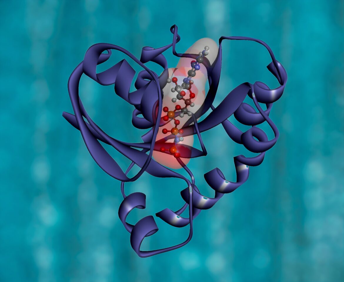 ¿Qué son las proteínas?: Fundamentales para la vida