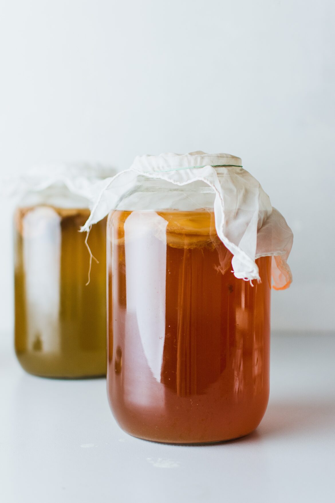 ¿Qué es Kombucha? y ¿Cómo prepararla desde casa?