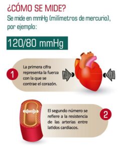 Presión arterial e insuficiencia cardíaca 