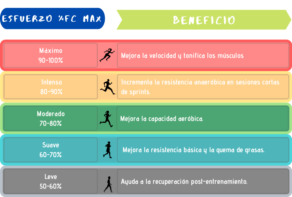 Guía para hacer cardio y perder grasa