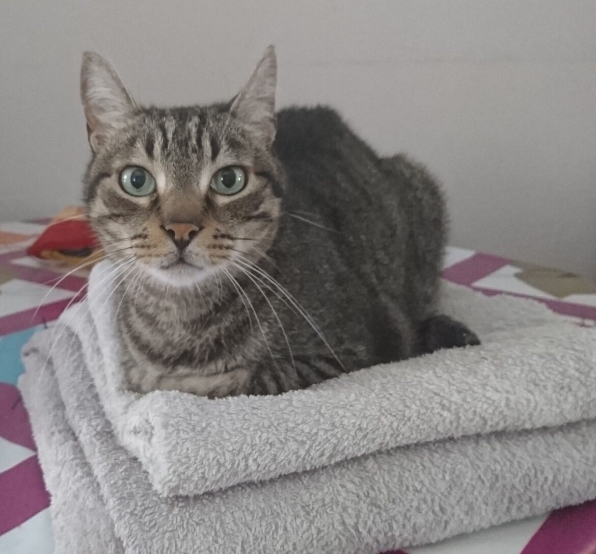 Fobias raras: 15 casos que te van a sorprender