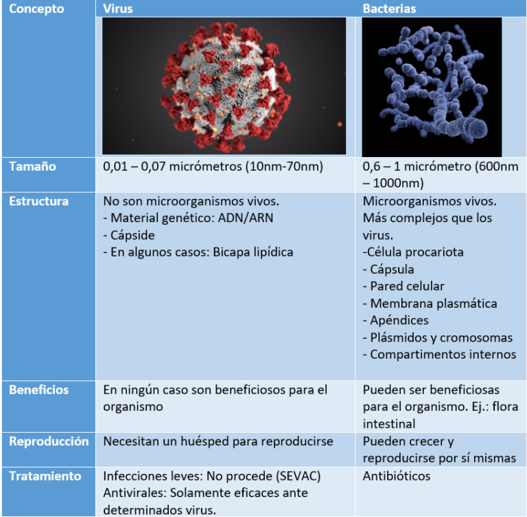 Lista 96 Foto Diferencias Entre Amigdalitis Viral Y Bacteriana Cena