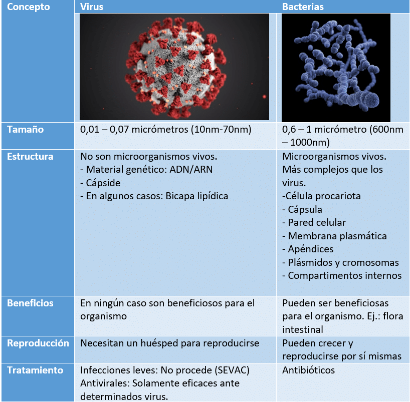 Virus y bacterias