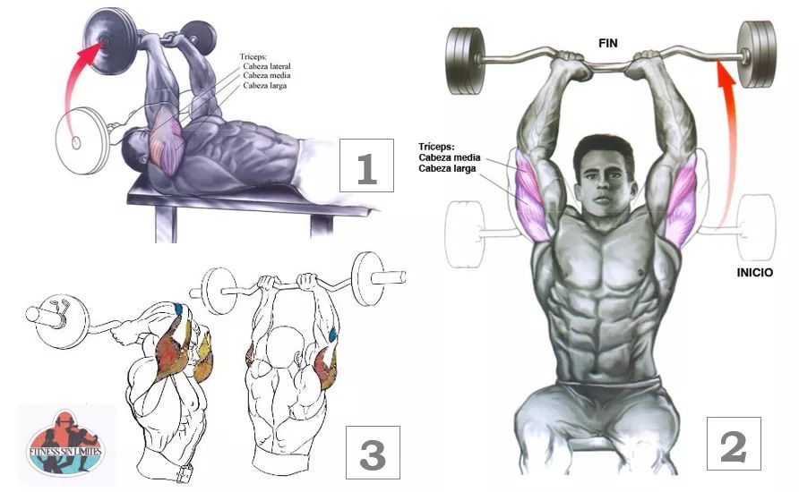 El press francés, Desarrolla tus tríceps con este ejercicio - INFOGRAFÍA, Eurofitness