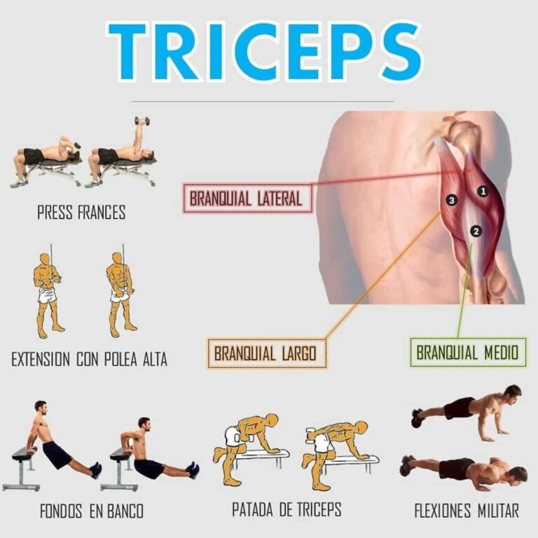 El Press Francés y las Mejores Variantes en Casa ⋆ Tu Gimnasio