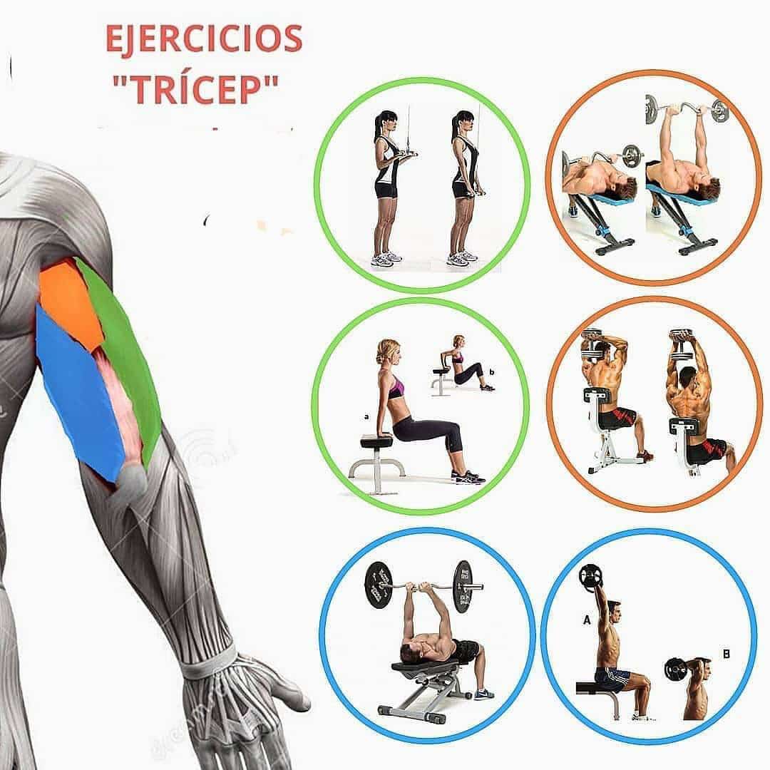 EJERCICIOS DE TRÍCEPS PARA GIMNASIO 