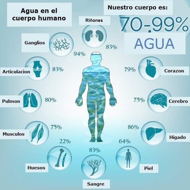 PORCENTAJE DE AGUA CORPORAL 