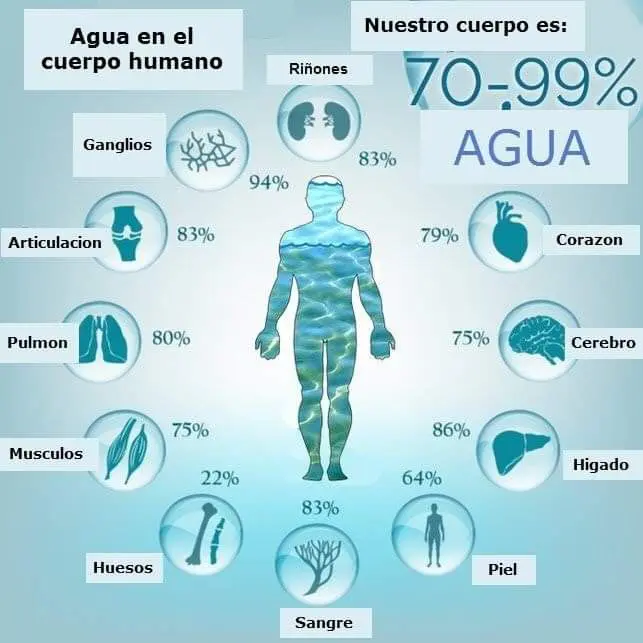 PORCENTAJE DE AGUA CORPORAL