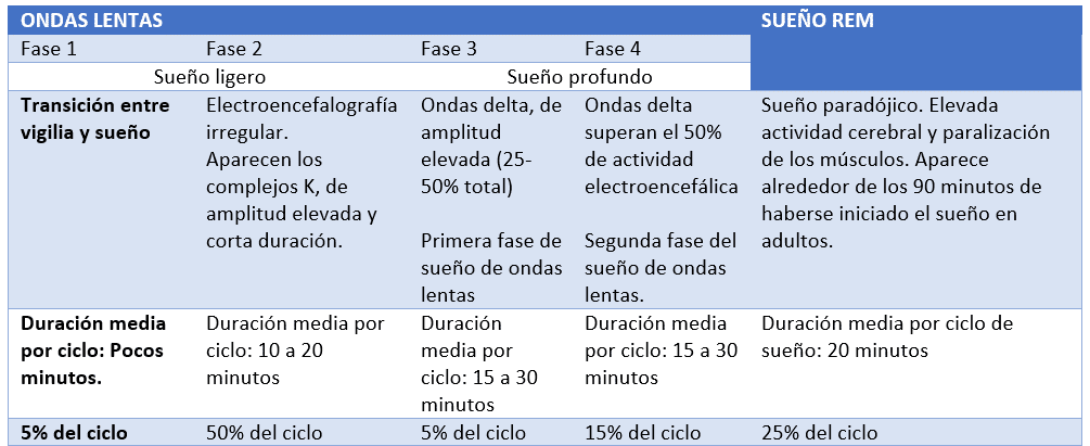 Trastornos del sueño. Fases del sueño