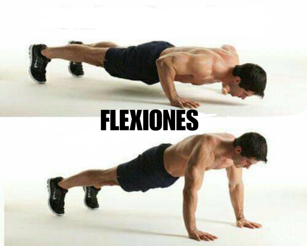 FLEXIONES : PERFECTO PARA TREN SUPERIOR