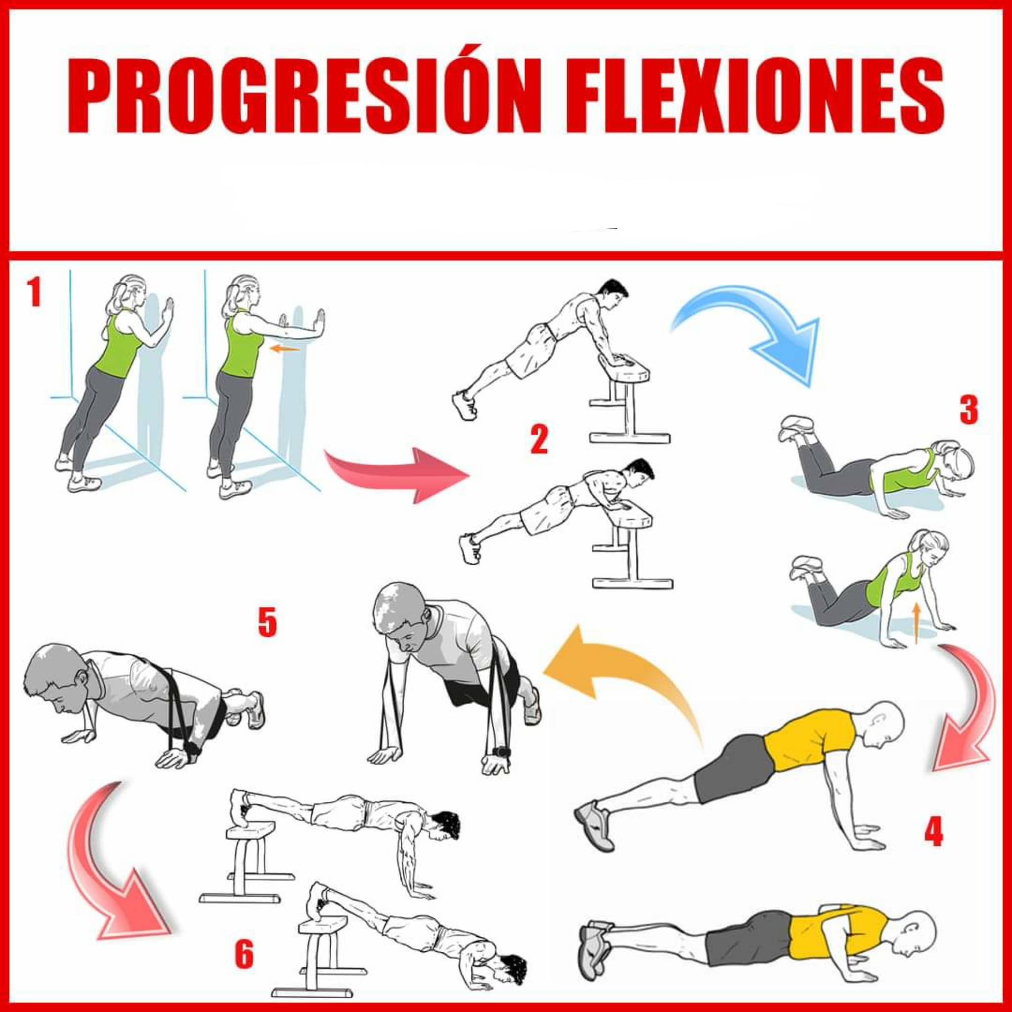 PROGRESIÓN PARA LAS FLEXIONES 