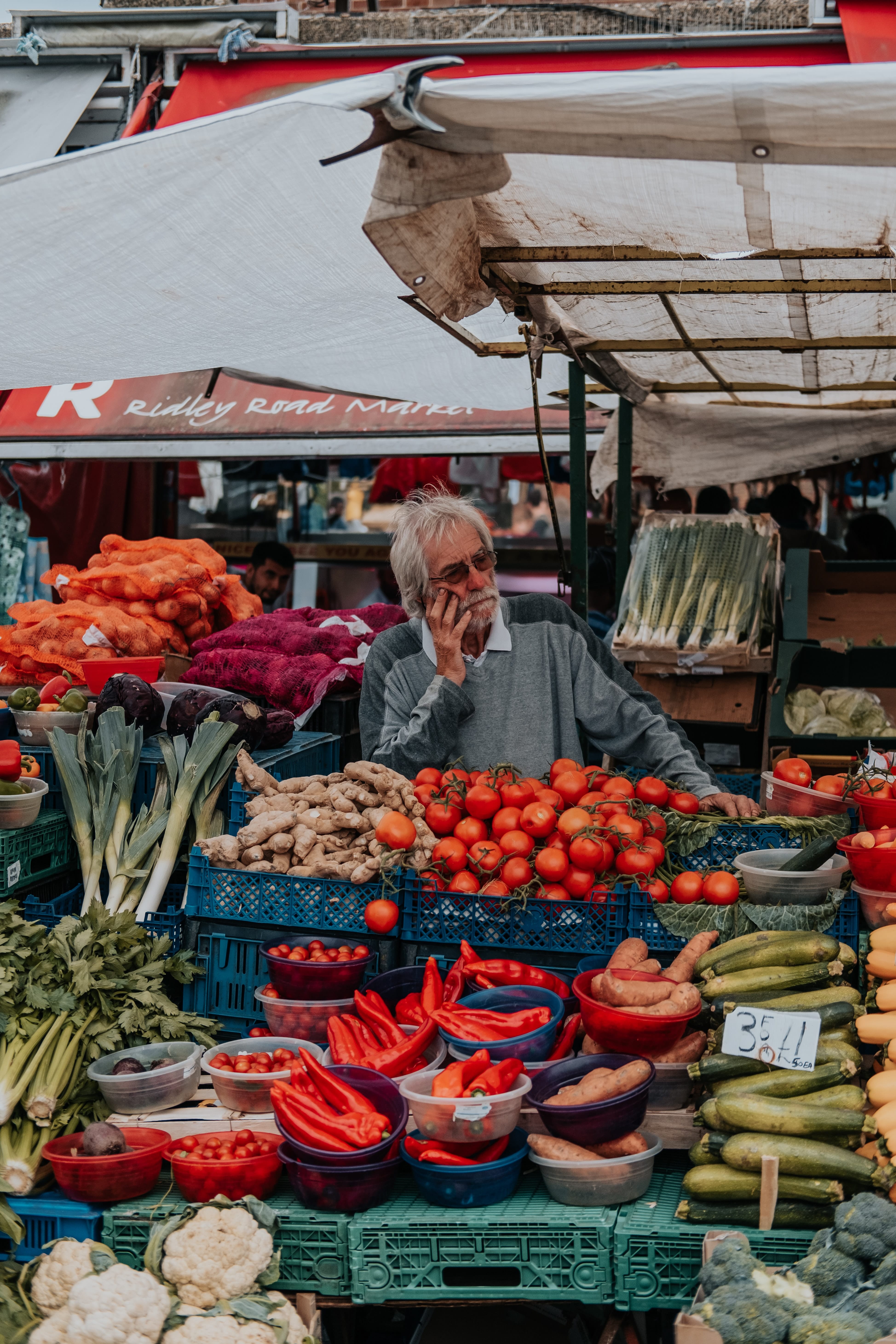 verduras de temporada