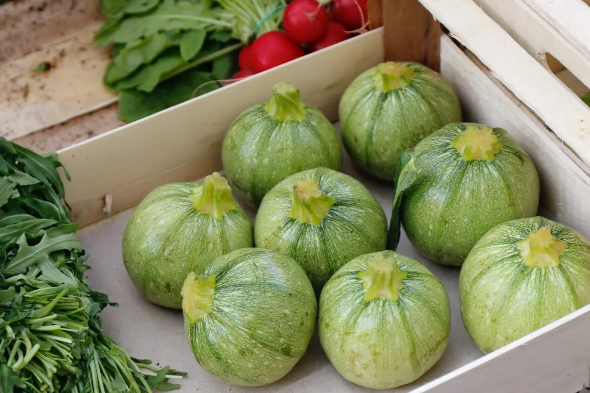 Recetas con calabacín en pocos minutos.