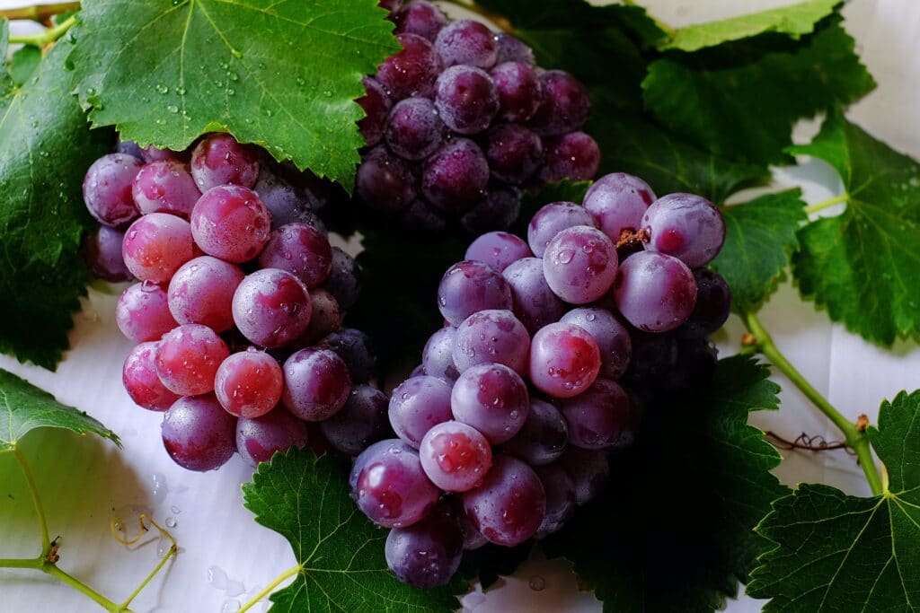 Uvas y vino: excelentes alimentos anticancerígenos