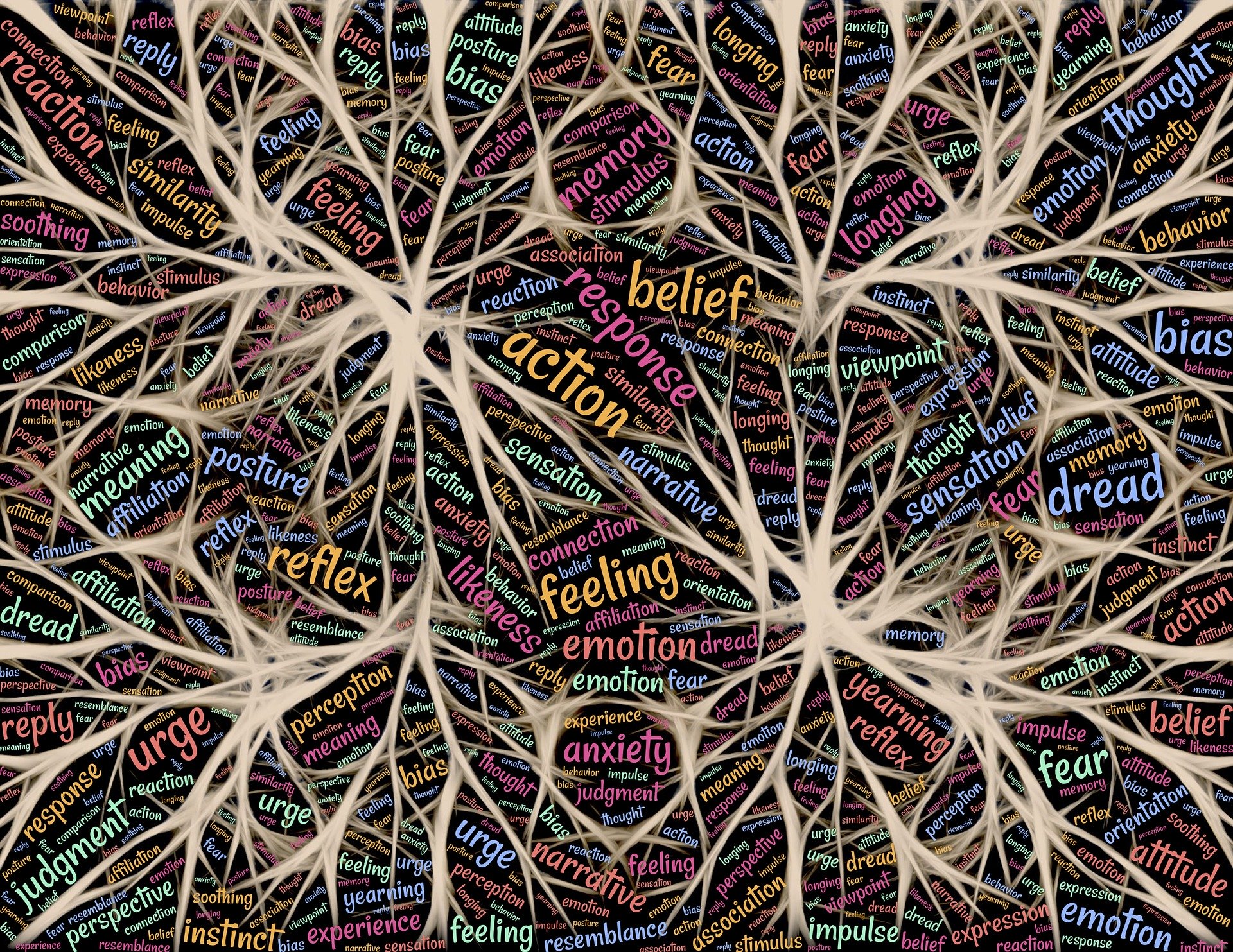 Neuronas presentes en la plasticidad cerebral