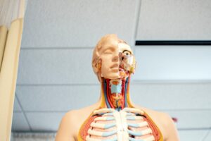 El cuerpo humano y el enfisema pulmonar