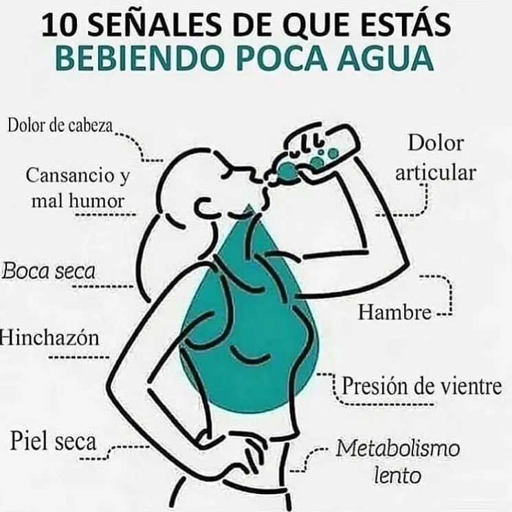 beneficios de beber agua