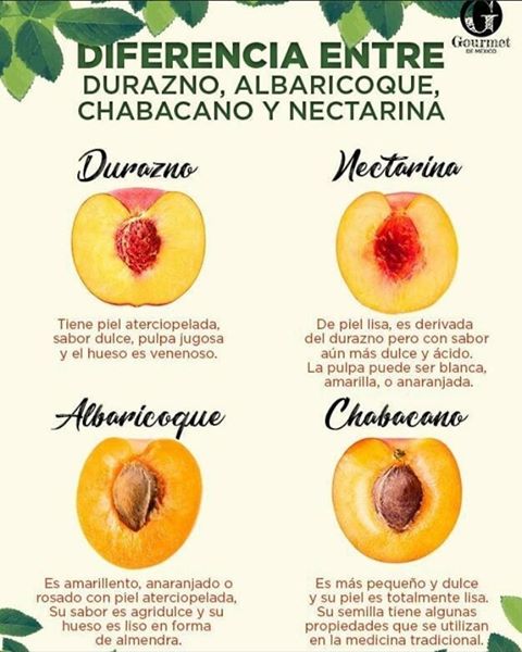 Diferencia entre Durazno y otras frutas. @gourmetdemexico en Instagram.