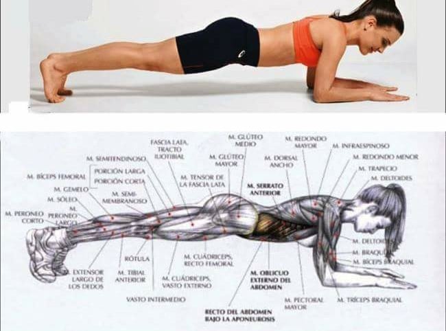 PLANCHA ABDOMINAL 