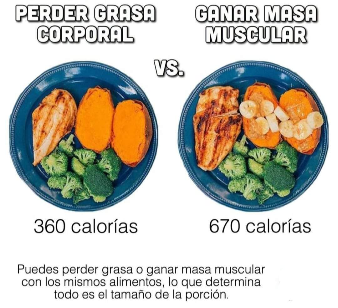 TAMAÑO DE LA PORCIÓN PARA GANAR MASA MUSCULAR 