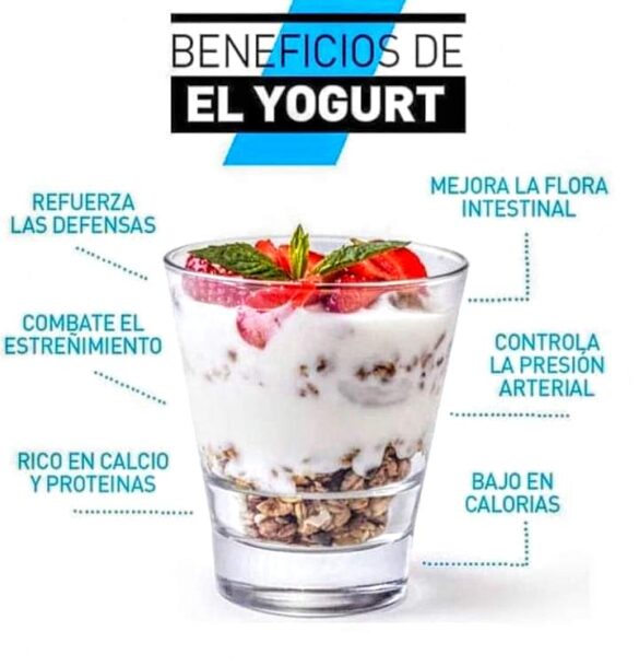 YOGURT GRIEGO Propiedades nutriciónales y beneficios Salud Diez