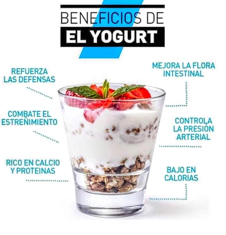 BENEFICIOS DEL YOGURT GRIEGO GRIEGO 