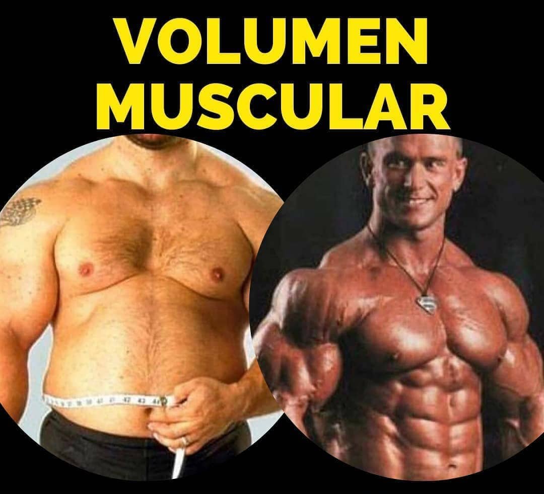 DIETA VOLUMEN SUCIO VS VOLUMEN LIMPIO