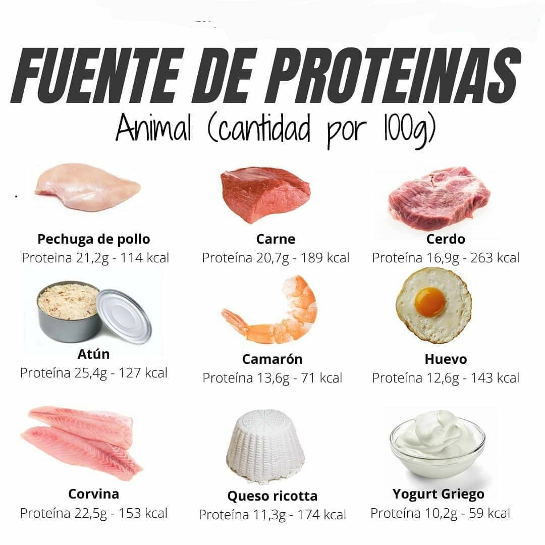 PROTEÍNAS 