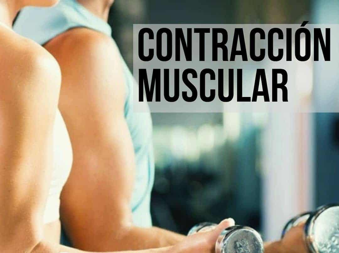 CONTRACCIÓN MUSCULAR 