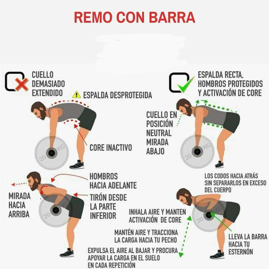 EJERCICIOS CON BARRAS : REMO 