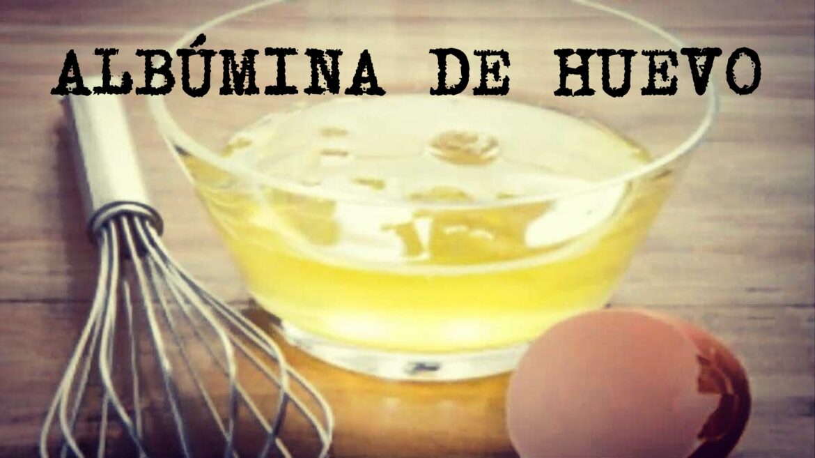 ALBÚMINA: Beneficios y propiedades de la albúmina del huevo