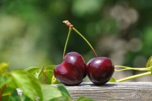 frutos rojos